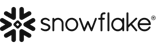 Snowflake Logo